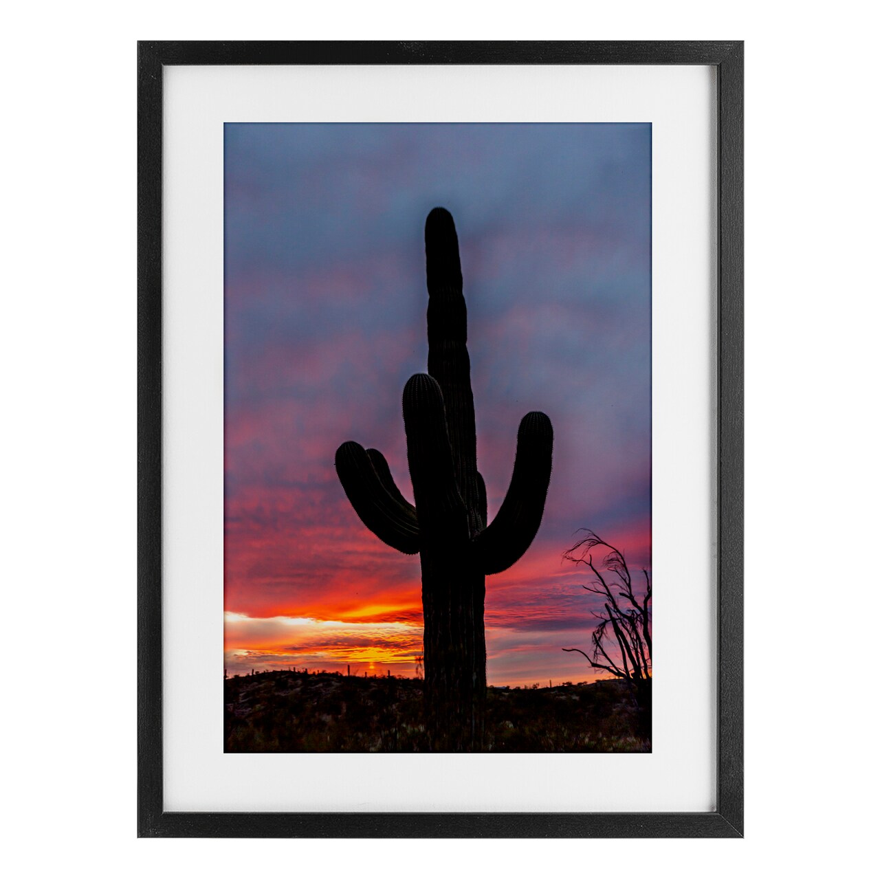 Stupell Industries Arizona Cactus at Sunset Framed Print Under Glass, design by Jeff Poe Photography